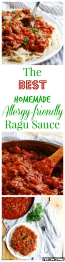 Top 8 Allergen Free Ragu 9 Homemade Allergy-friendly Ragu Sauce Recipe by Allergy Awesomeness