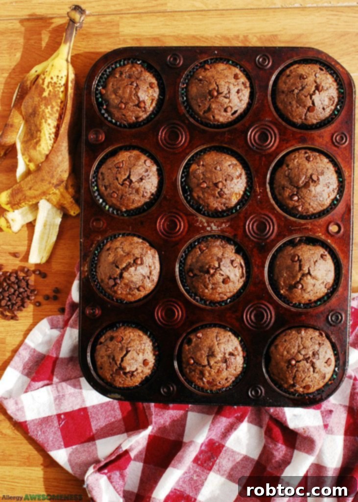Double Chocolate Banana Muffin Recipe by Allergy Awesomeness
