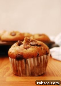 Blender Oatmeal Banana Chocolate Chip Muffins that are allergy-friendly