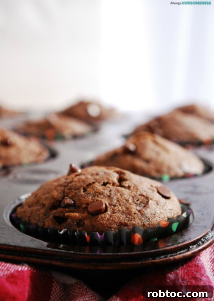 Chocolate Banana Muffins Recipe by AllergyAwesomeness