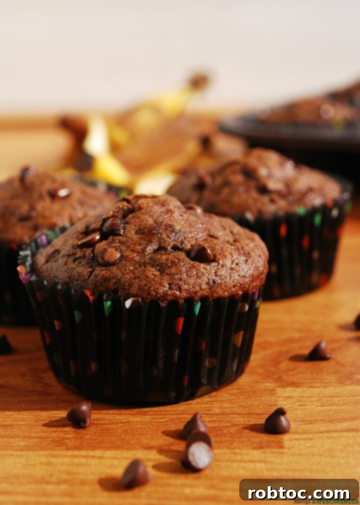 Vegan Chocolate Banana Muffin Recipe by AllergyAwesomeness