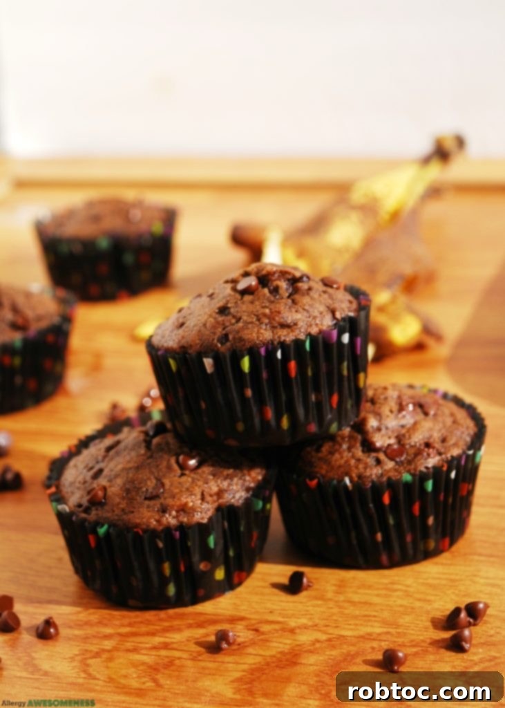 Allergy-friendly Double Chocolate Banana Muffins Breakfast Recipe by AllergyAwesomeness