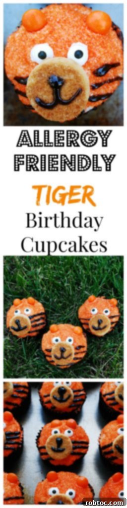 Allergy-friendly Tiger Birthday Cupcakes by AllergyAwesomeness