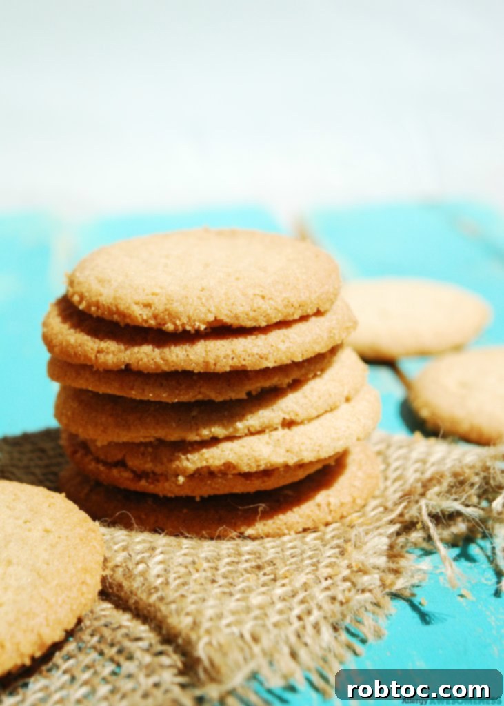 Top 8 Allergen Free Vegan Strawberry Pie Pops 7 Enjoy Life Crunchy Cookies