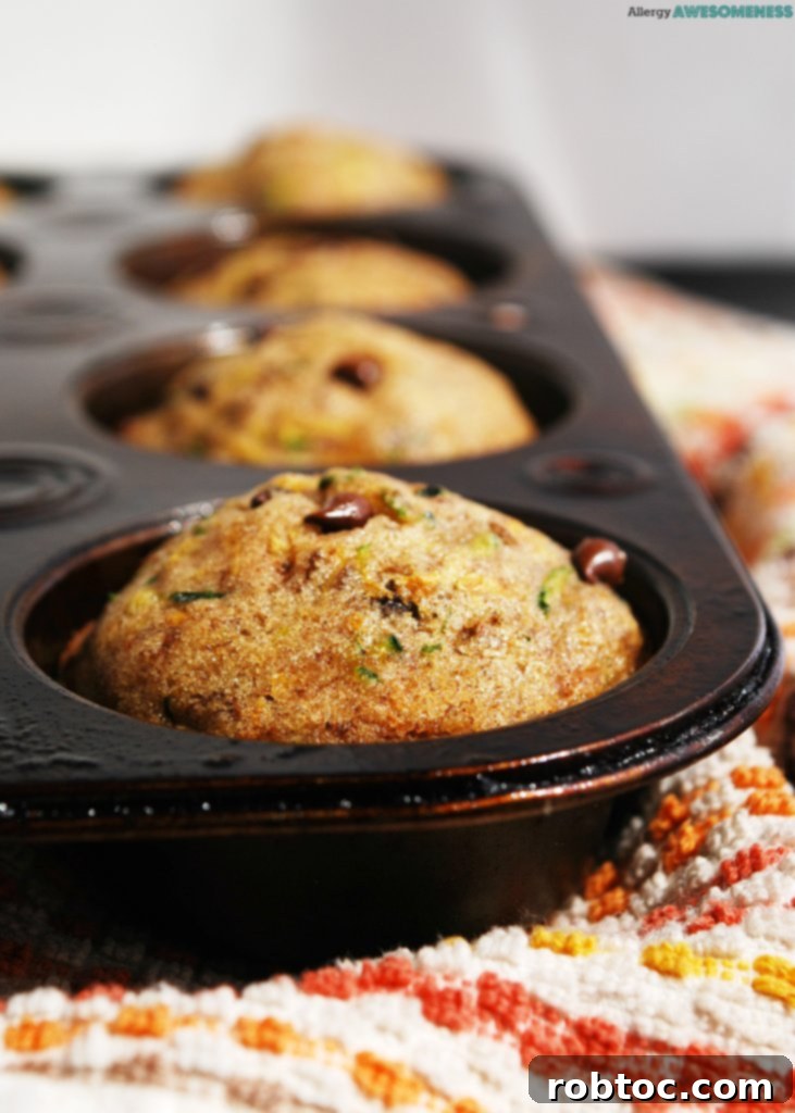 Simple gluten-free chocolate chip zucchini muffin recipe, quick and easy to make
