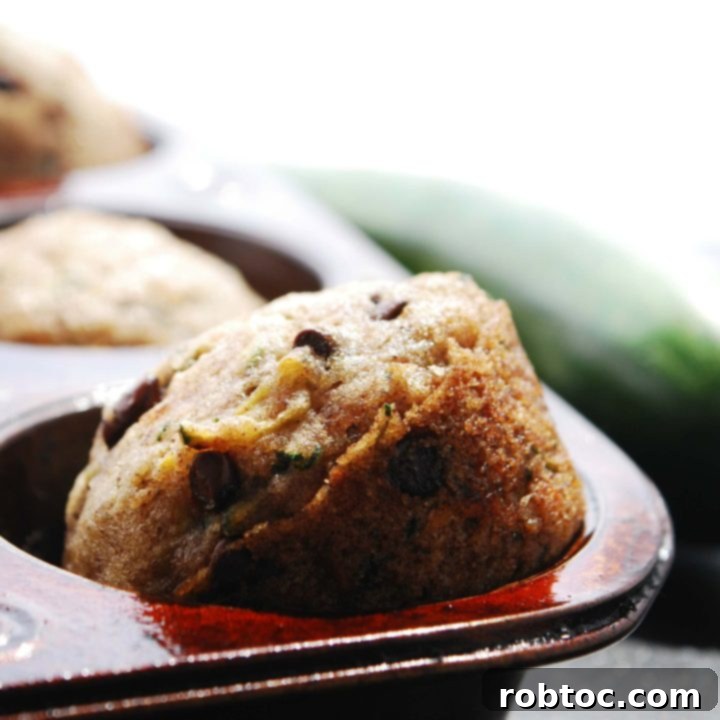 Best Vegan Chocolate Chip Zucchini Muffins recipe for multiple allergies
