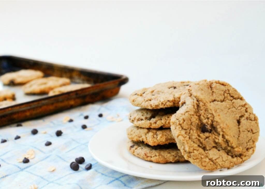 gluten-free-dairy-free-oatmeal-chocolate-chip-cookie-recipe