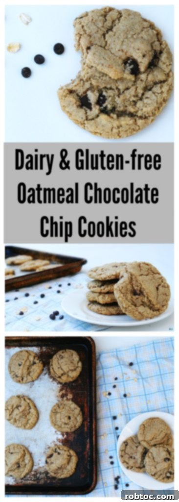 Dairy and Gluten-free Oatmeal Chocolate Chip Cookies Pinterest by AllergyAwesomeness.com