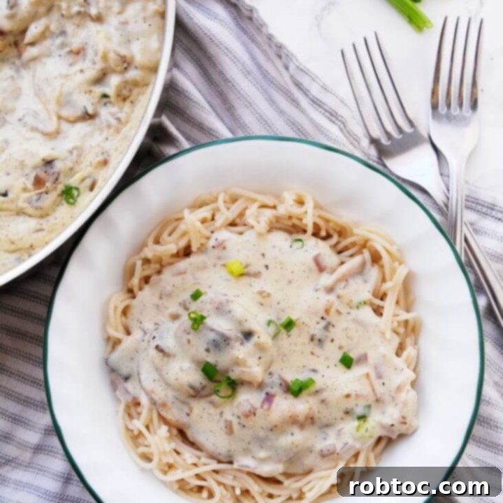 Vegan & Gluten-free Mushroom Stroganoff (Gluten, dairy, egg, soy, peanut & tree nut free; top-8-free)