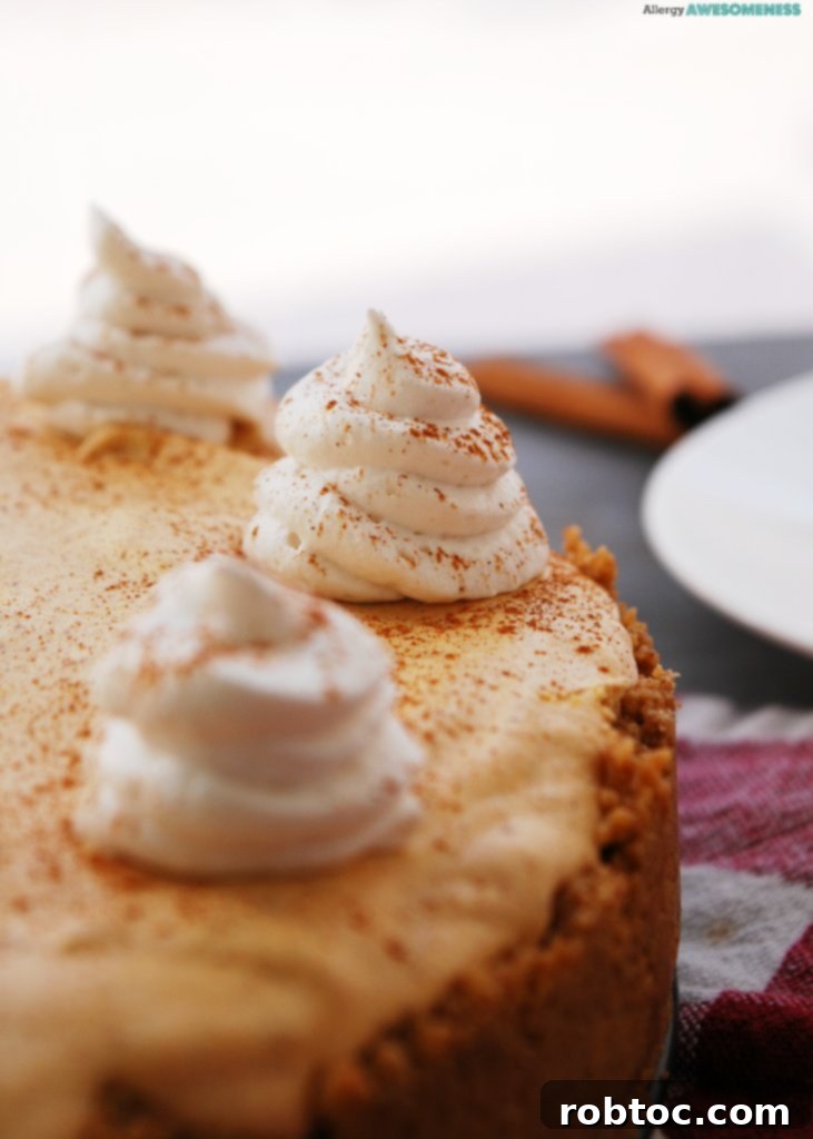 Top Allergen Free Vegan Pumpkin Mousse Pie 3 Gluten-free pumpkin mousse pie recipe