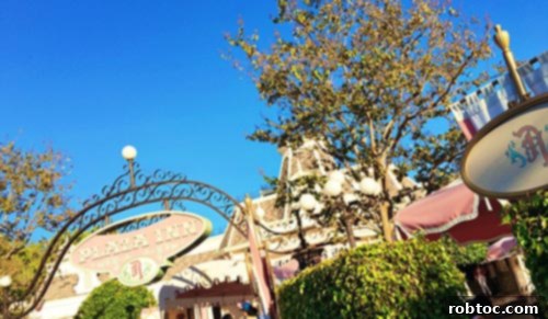 Unlock a Safe Disneyland Family Vacation EpiPen Preparedness and Savings 3 Disneyland has Epi-Pens for food allergies and trained nurses on staff