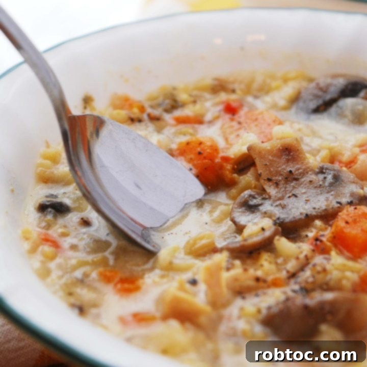 dairy-free-chicken-and-wild-rice-instant-pot-soup