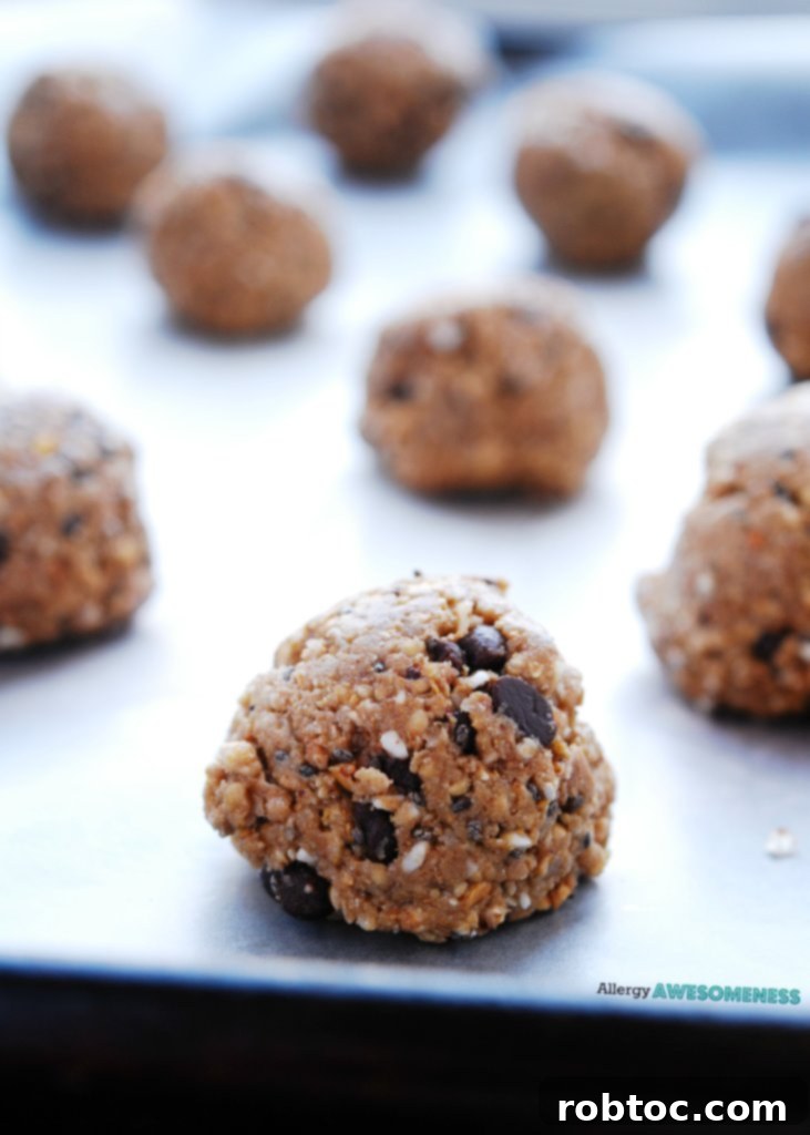 Step-by-step preparation of dairy-free energy balls recipe