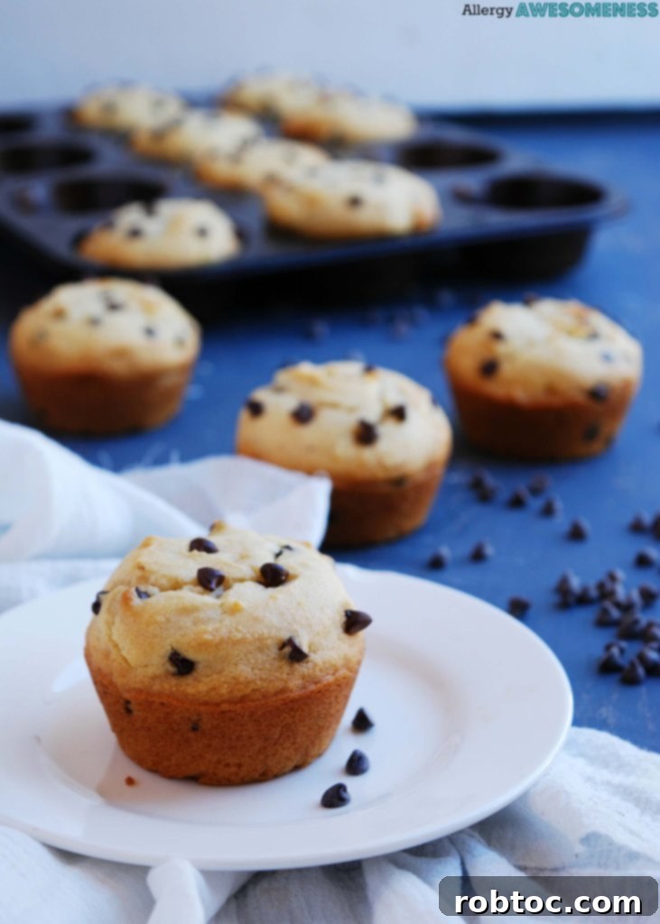 chocolate-chip-muffins-without-eggs