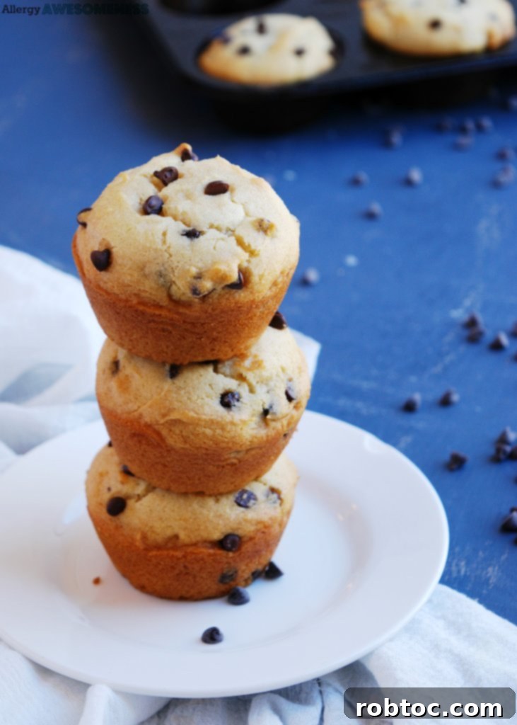 gluten-free-dairy-free-chocolate-chip-muffins