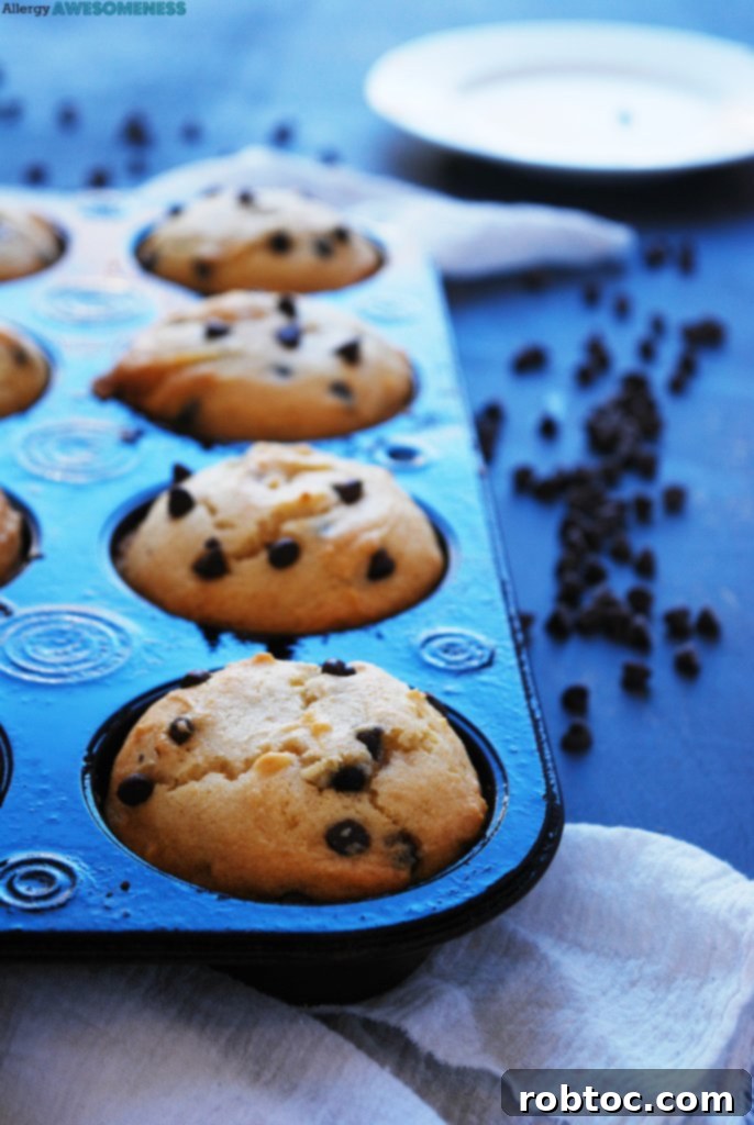 allergy-friendly-chocolate-chip-muffins