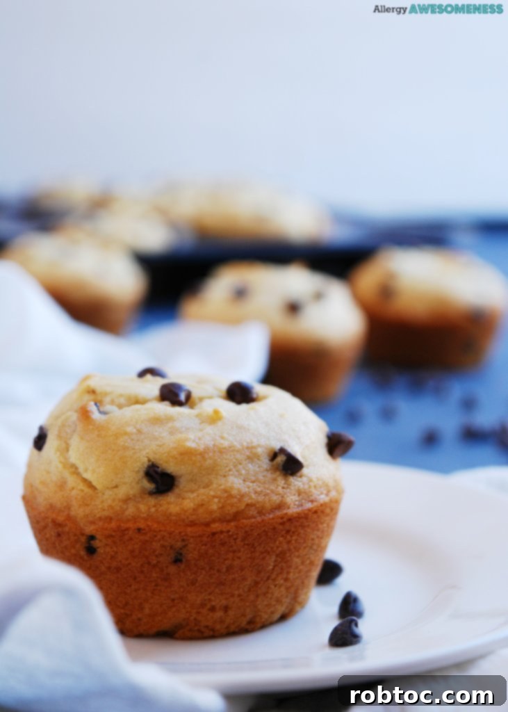 dairy-free-chocolate-chip-muffins