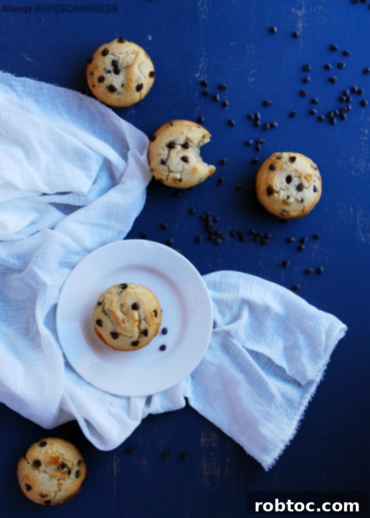 top-8-free-chocolate-chip-muffins