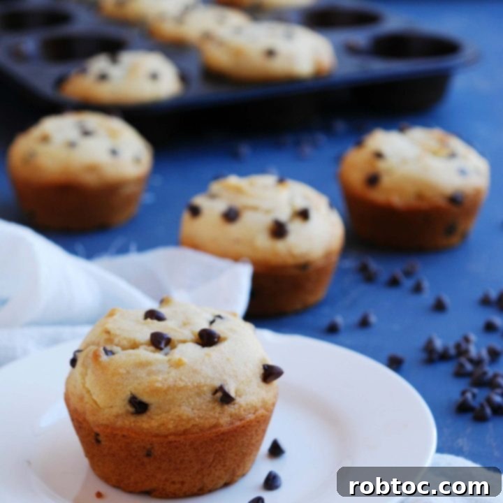chocolate-chip-muffins-without-eggs