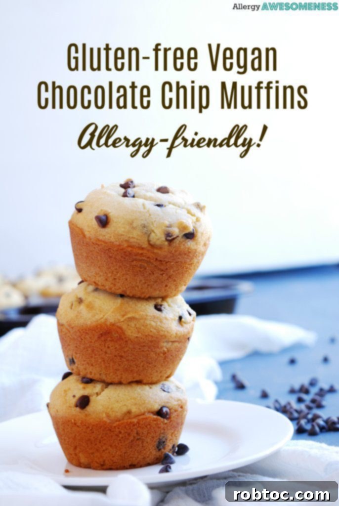 gluten-free-vegan-chocolate-chip-muffins-text