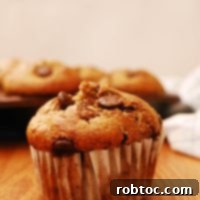 vegan-gluten-free-blender-oatmeal-banana-chocolate-chip-muffin-recipe