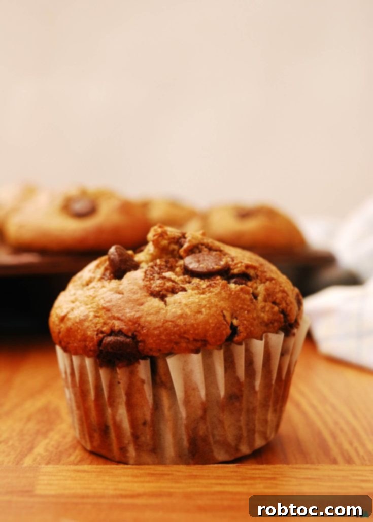 Blender Oatmeal Banana Chocolate Chip Muffins Pin