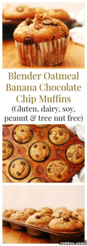 Gluten-free Blender Oatmeal Banana Chocolate Chip Muffins Breakfast Recipe by AllergyAwesomeness