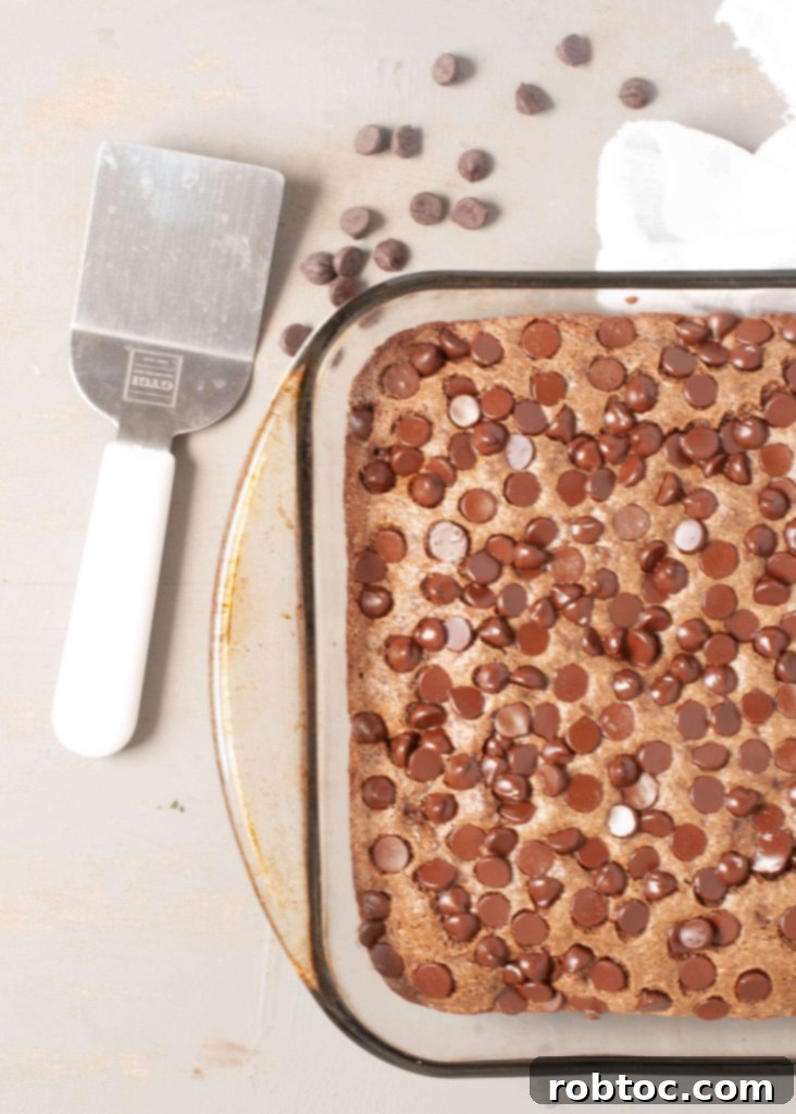 gluten-free-egg-free-chocolate-zucchini-cake