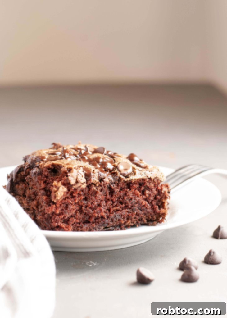 gluten-free-dairy-free-chocolate-zucchini-cake