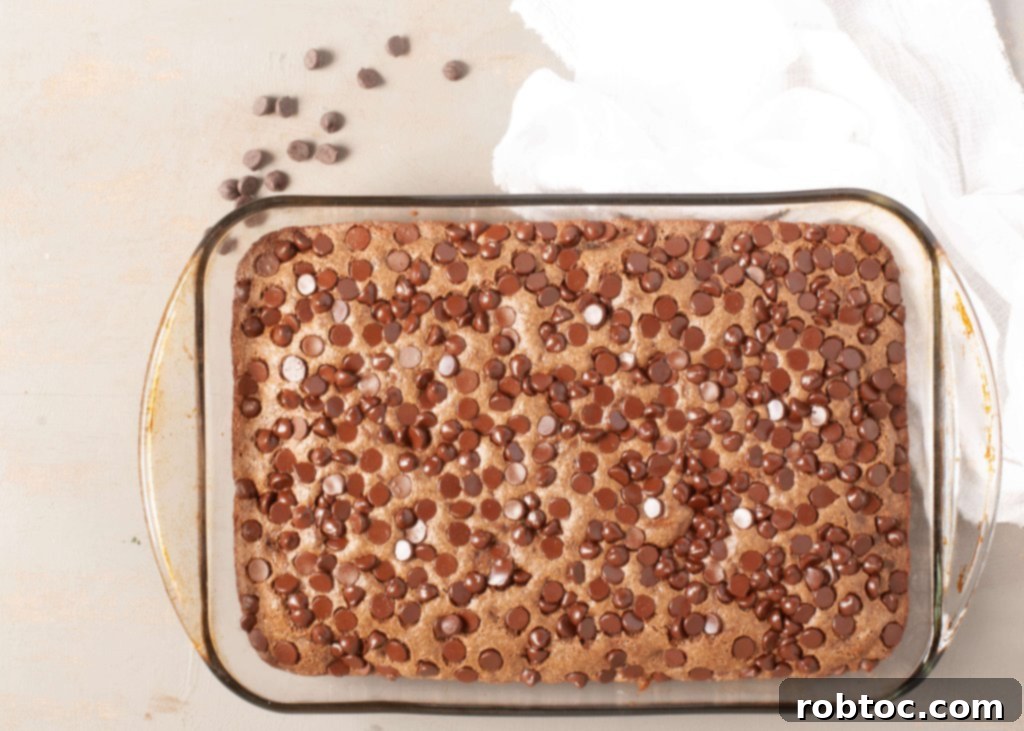 gluten-free-vegan-chocolate-zucchini-cake