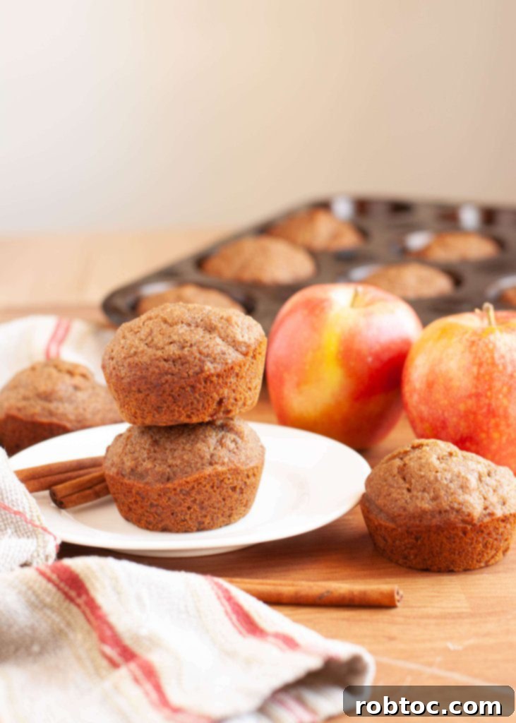 vegan-gluten-free-cinnamon-applesauce-muffins