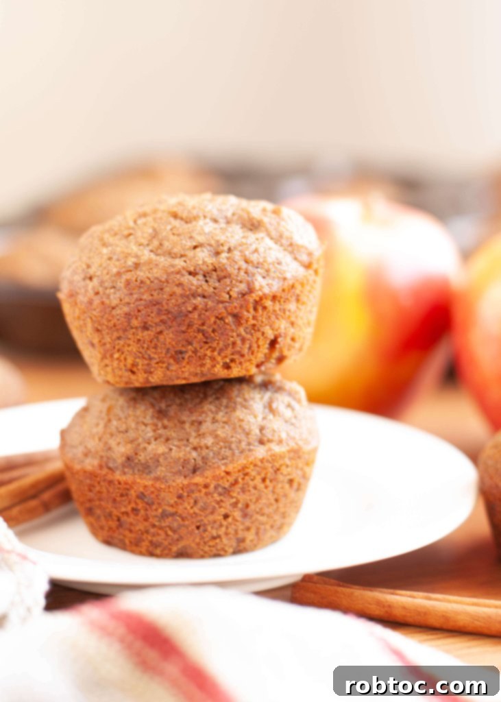 dairy-free-cinnamon-applesauce-muffins