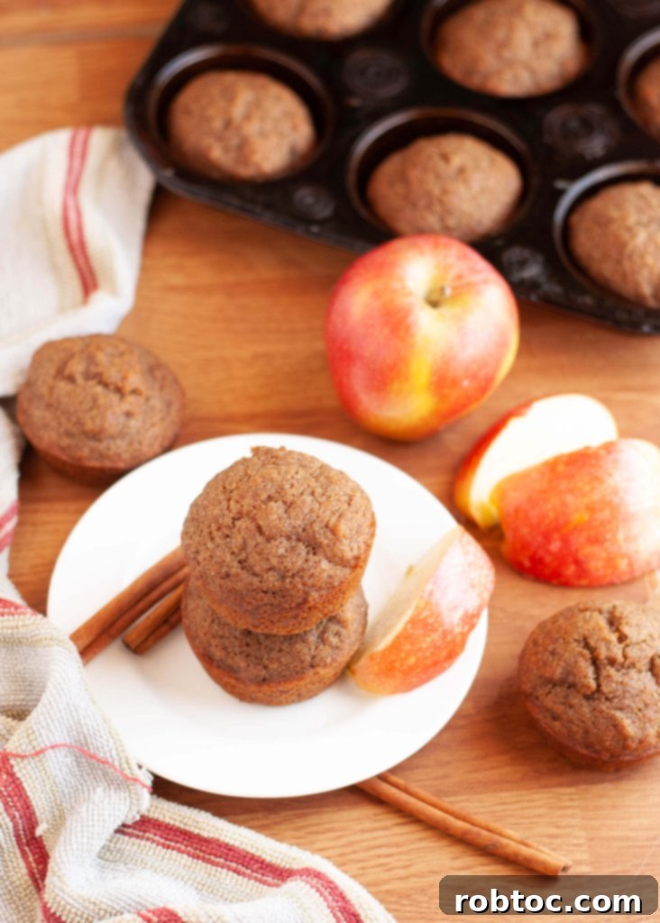 dairy-free-gluten-free-cinnamon-applesauce-muffins