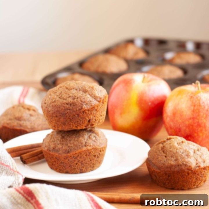 vegan-gluten-free-cinnamon-applesauce-muffins