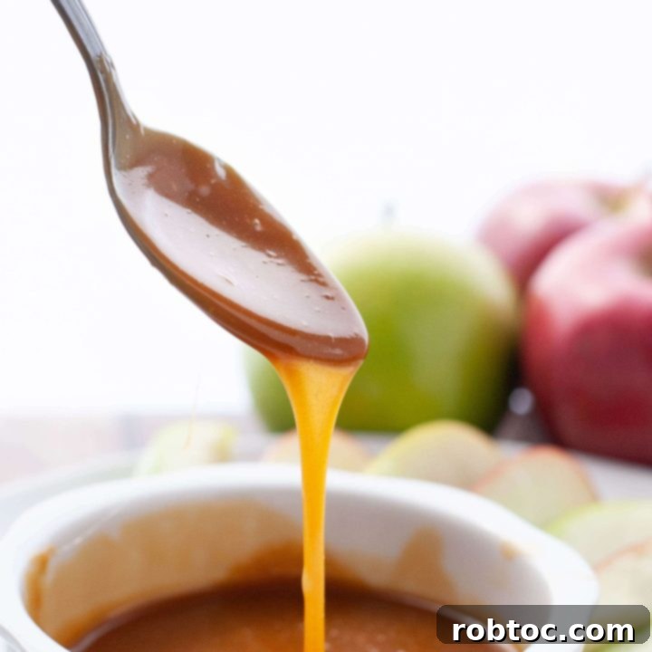 nut-free-dairy-free-caramel-dipping-sauce