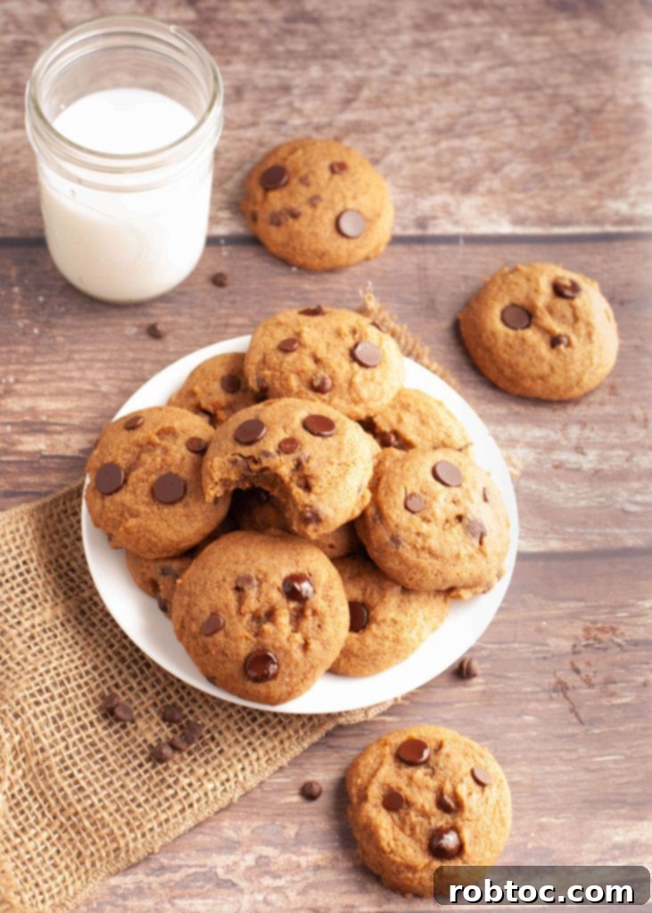 Irresistible Allergy-Friendly Pumpkin Chocolate Chip Cookies Gluten-Free Vegan Top 8 Free 2 how-to-make-allergy-friendly-pumpkin-chocolate-chip-cookies
