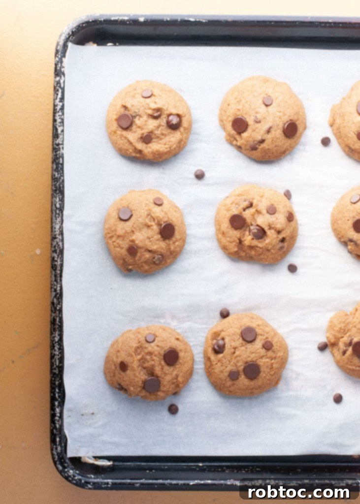 Irresistible Allergy-Friendly Pumpkin Chocolate Chip Cookies Gluten-Free Vegan Top 8 Free 3 allergy-friendly-pumpkin-chocolate-chip-cookies for fall baking