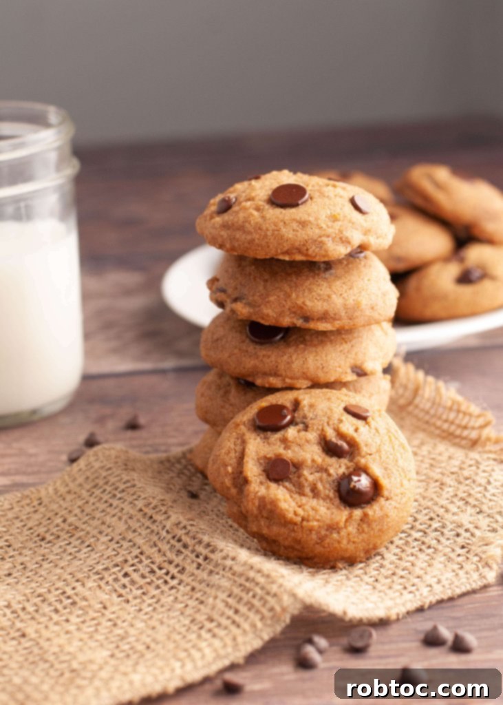 Irresistible Allergy-Friendly Pumpkin Chocolate Chip Cookies Gluten-Free Vegan Top 8 Free 4 top-8-free-pumpkin-chocolate-chip-cookies vegan recipe