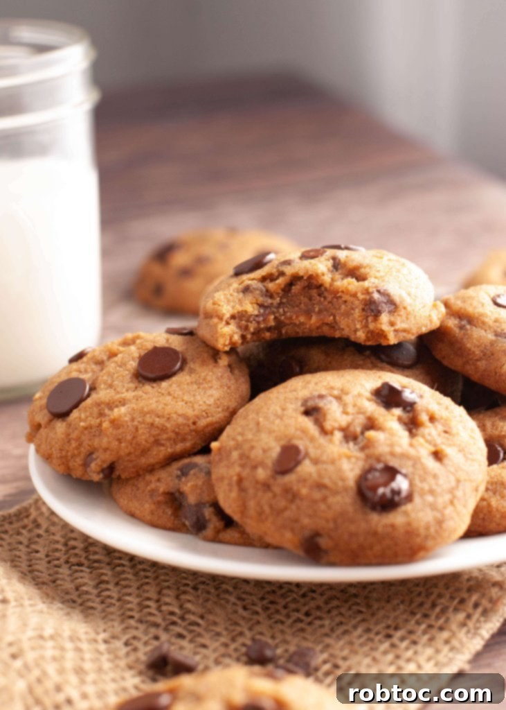 Irresistible Allergy-Friendly Pumpkin Chocolate Chip Cookies Gluten-Free Vegan Top 8 Free 5 gluten-free-dairy-free-egg-free-pumpkin-chocolate-chip-cookies best recipe