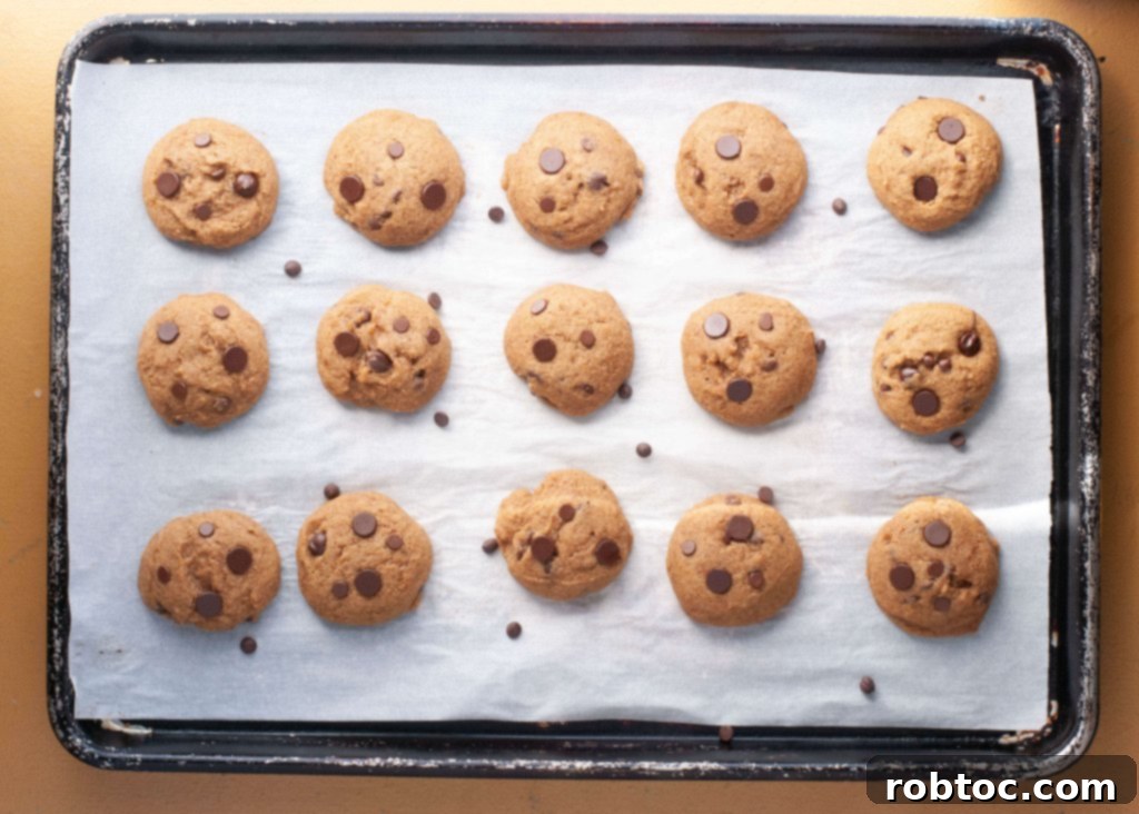 Irresistible Allergy-Friendly Pumpkin Chocolate Chip Cookies Gluten-Free Vegan Top 8 Free 6 nut-free-vegan-pumpkin-chocolate-chip-cookies recipe