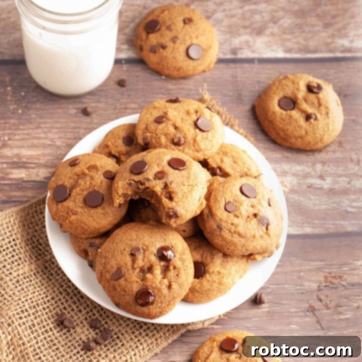 gluten-free-dairy-free-pumpkin-chocolate-chip-cookies recipe card