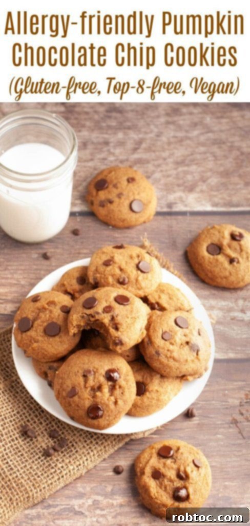 Irresistible Allergy-Friendly Pumpkin Chocolate Chip Cookies Gluten-Free Vegan Top 8 Free 9 how-to-make-allergy-friendly-pumpkin-chocolate-chip-cookies-by-allergy-awesomeness pin image