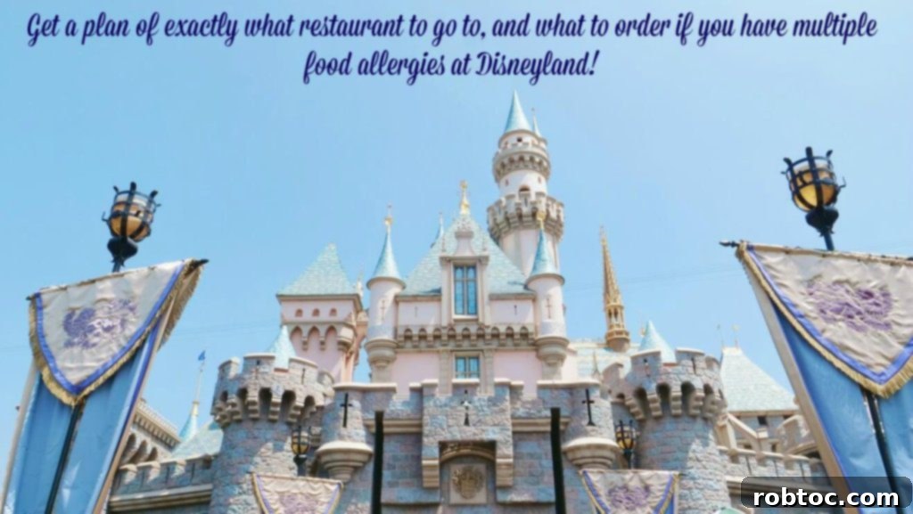 Navigating Disneyland with Multiple Food Allergies 3 Disneyland multi-allergy meal plan for safe dining