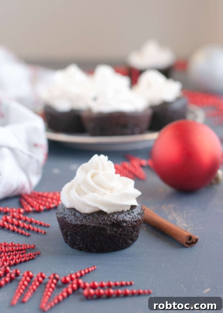 Gluten-Free Dairy-Free Chocolate Gingerbread Cupcakes with Frosting