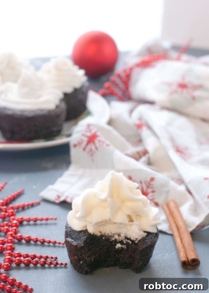 Egg-Free Dairy-Free Chocolate Gingerbread Cupcakes - side view