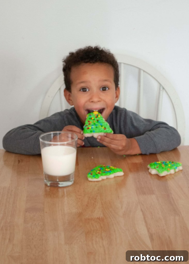 sugar-cookie-recipe-for-those-with-food-allergies