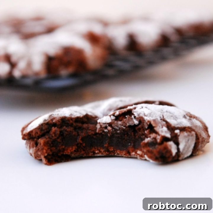 gluten-free-dairy-free-crinkle-cookies-close-up-bite-taken-out-of-it