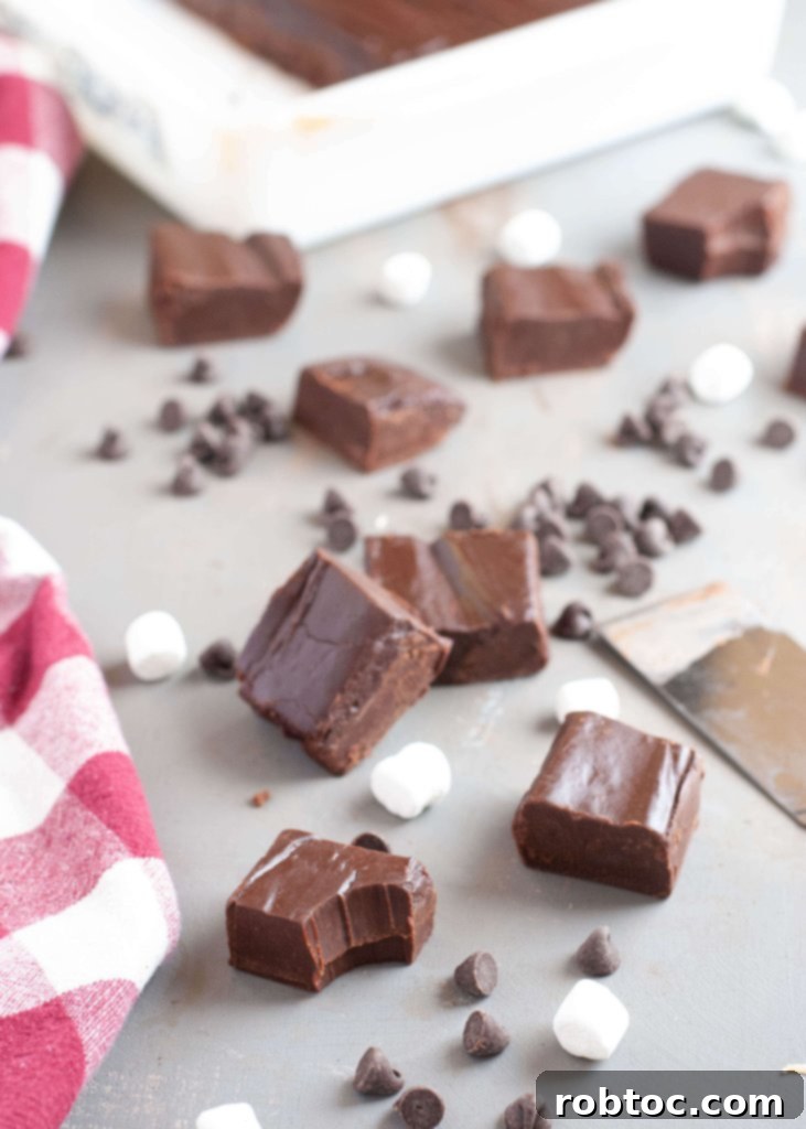 fudge-using-condensed-coconut-milk
