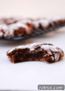 Christmas Chocolate Peppermint Crinkle Cookies--from Allergy Awesomeness