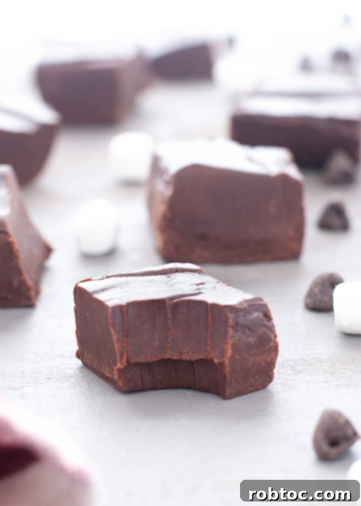 gluten-free-vegan-fudge-recipe